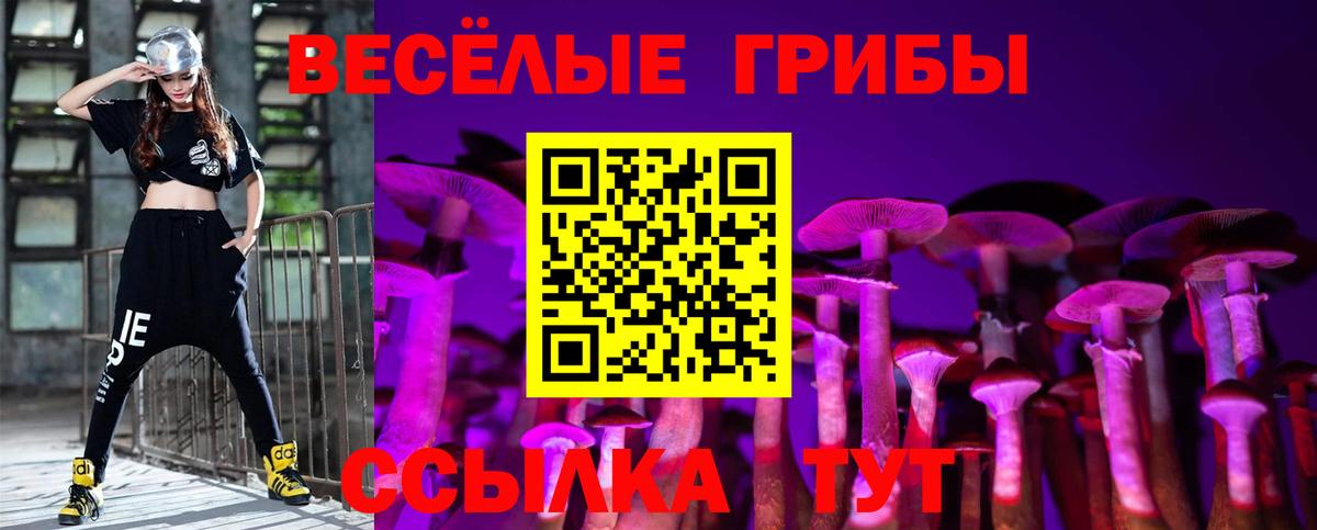 Галлюциногенные грибы мицелий  Вход с VPN  Зима 